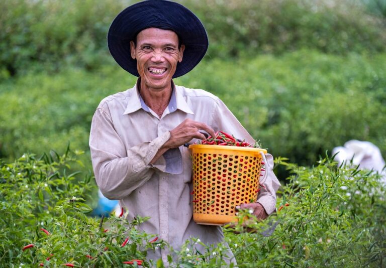 farmer-6530444_1280